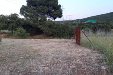 ΟΙΝΟΗ, Οικόπεδο, Πώληση, 930 τ.μ