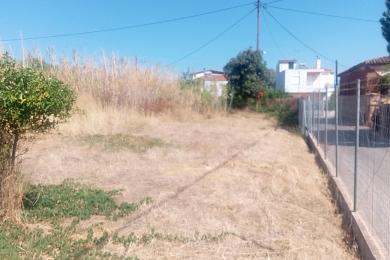 Αιγιο, γωνιακο οικοπεδο 2480τμ, εντος οικισμου, τιμη 250000€