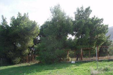 PORTO RAFTI, Land, 850 sqm, 1.200.000€